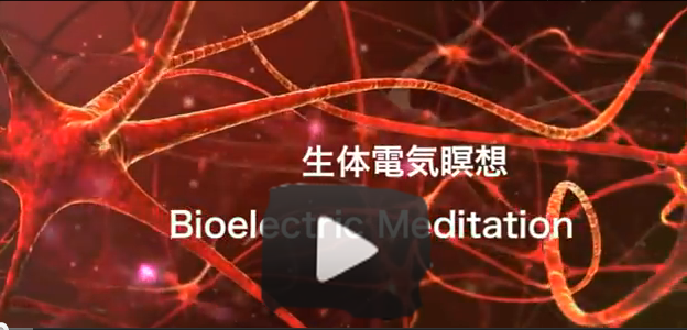 The Neurmuscular Meditation Tutorial Videos